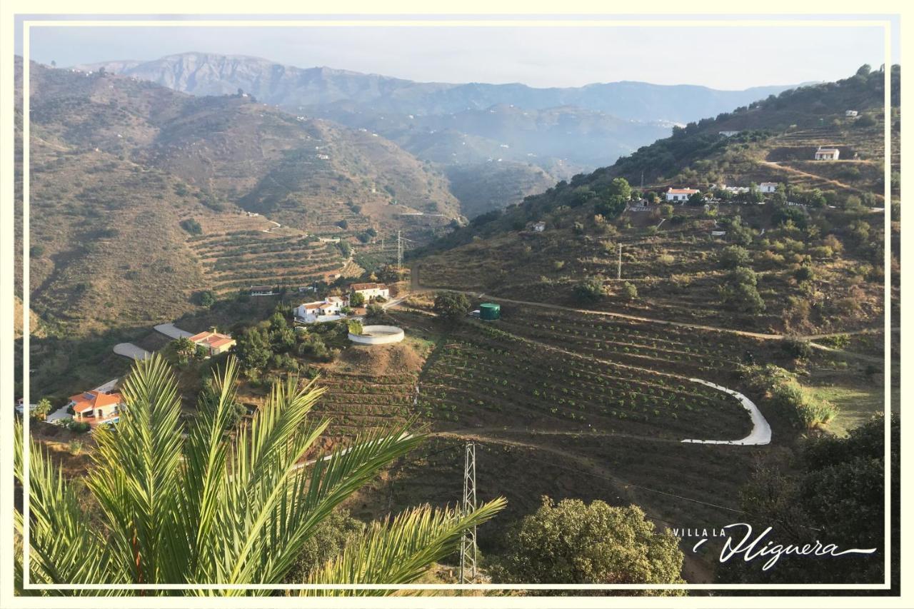 Villa La Higuera Sayalonga المظهر الخارجي الصورة