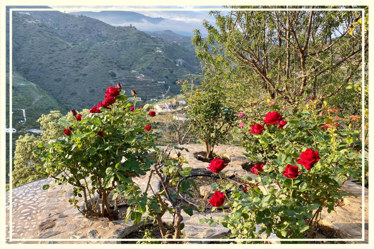 Villa La Higuera Sayalonga المظهر الخارجي الصورة